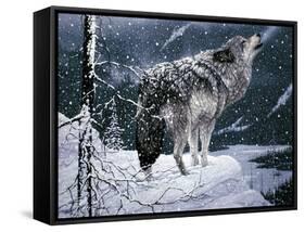 Lone Wolf-Jeff Tift-Framed Stretched Canvas