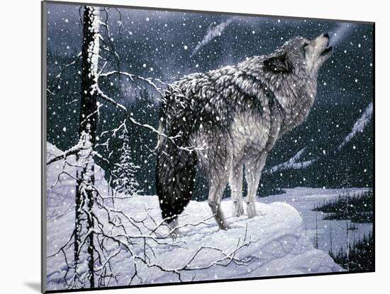 Lone Wolf-Jeff Tift-Mounted Giclee Print