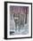 Lone Wolf-Robert Wavra-Framed Giclee Print