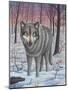Lone Wolf-Robert Wavra-Mounted Giclee Print