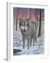 Lone Wolf-Robert Wavra-Framed Giclee Print