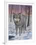 Lone Wolf-Robert Wavra-Framed Giclee Print