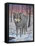 Lone Wolf-Robert Wavra-Framed Stretched Canvas