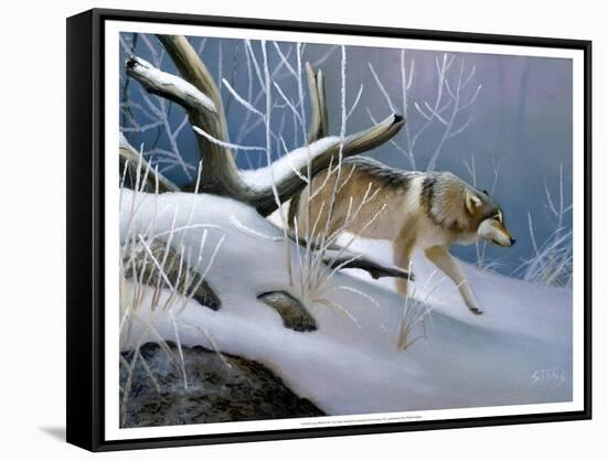 Lone Wolf-Leo Stans-Framed Stretched Canvas