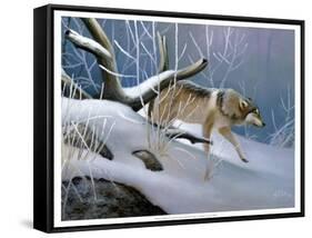 Lone Wolf-Leo Stans-Framed Stretched Canvas
