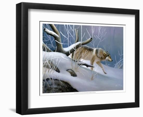 Lone Wolf-Leo Stans-Framed Art Print