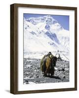 Lone Yak-Michael Brown-Framed Photographic Print