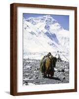 Lone Yak-Michael Brown-Framed Photographic Print