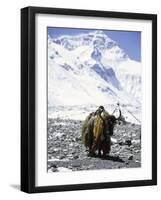 Lone Yak-Michael Brown-Framed Photographic Print