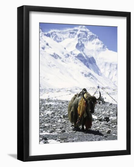 Lone Yak-Michael Brown-Framed Photographic Print