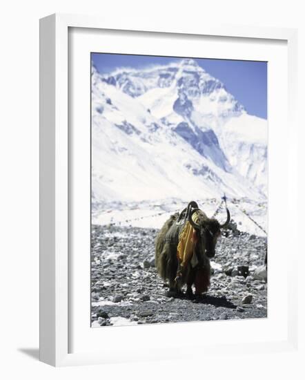 Lone Yak-Michael Brown-Framed Photographic Print