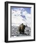 Lone Yak-Michael Brown-Framed Photographic Print