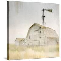 Lone-Kimberly Allen-Stretched Canvas