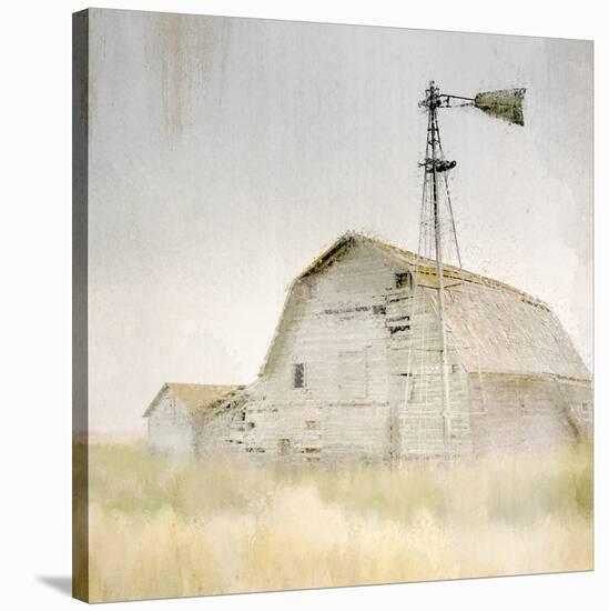 Lone-Kimberly Allen-Stretched Canvas