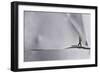 Loneliness.-Alfredo Yanez-Framed Photographic Print