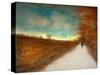 Lonely Autumn Path-Robert Cattan-Stretched Canvas