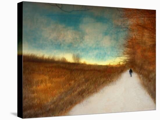 Lonely Autumn Path-Robert Cattan-Stretched Canvas
