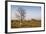 Lonely Baobab Tree in the Kimberleys, Western Australia, Australia, Pacific-Michael Runkel-Framed Photographic Print