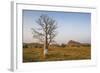 Lonely Baobab Tree in the Kimberleys, Western Australia, Australia, Pacific-Michael Runkel-Framed Photographic Print