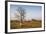 Lonely Baobab Tree in the Kimberleys, Western Australia, Australia, Pacific-Michael Runkel-Framed Photographic Print