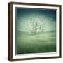 Lonely, Bare Tree in Middle of Foggy Field with Birds Flying Around-Bordeianu Andrei-Framed Photographic Print