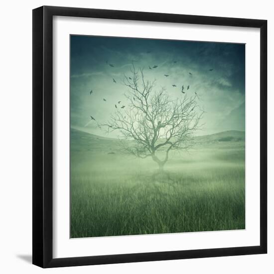 Lonely, Bare Tree in Middle of Foggy Field with Birds Flying Around-Bordeianu Andrei-Framed Photographic Print