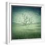 Lonely, Bare Tree in Middle of Foggy Field with Birds Flying Around-Bordeianu Andrei-Framed Photographic Print