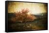 Lonely Beautiful Autumn Tree - Vintage Photo-melis-Framed Stretched Canvas