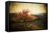 Lonely Beautiful Autumn Tree - Vintage Photo-melis-Framed Stretched Canvas