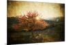 Lonely Beautiful Autumn Tree - Vintage Photo-melis-Mounted Photographic Print