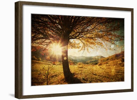 Lonely Beautiful Autumn Tree-melis-Framed Photographic Print