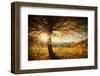 Lonely Beautiful Autumn Tree-melis-Framed Photographic Print