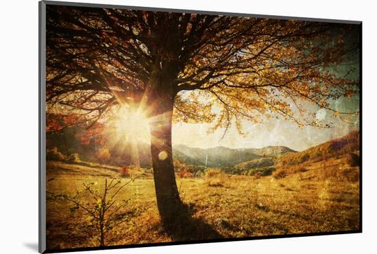 Lonely Beautiful Autumn Tree-melis-Mounted Photographic Print