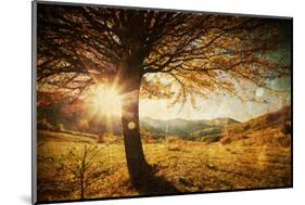 Lonely Beautiful Autumn Tree-melis-Mounted Photographic Print