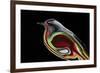 Lonely Bird-Rabi Khan-Framed Art Print