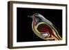 Lonely Bird-Rabi Khan-Framed Premium Giclee Print