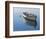 Lonely Boat-Zhen-Huan Lu-Framed Art Print