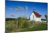 Lonely Church in the Catlins, South Island, New Zealand, Pacific-Michael Runkel-Mounted Photographic Print