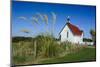 Lonely Church in the Catlins, South Island, New Zealand, Pacific-Michael Runkel-Mounted Photographic Print