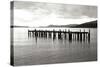 Lonely Dock BW-Dana Styber-Stretched Canvas