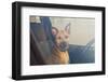 Lonely Dog Waiting in the Car-Maria Komar-Framed Photographic Print