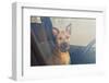 Lonely Dog Waiting in the Car-Maria Komar-Framed Photographic Print