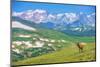 Lonely Elk Alpine Meadow-duallogic-Mounted Premium Photographic Print