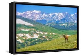 Lonely Elk Alpine Meadow-duallogic-Framed Stretched Canvas