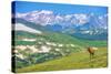 Lonely Elk Alpine Meadow-duallogic-Stretched Canvas