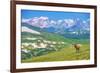 Lonely Elk Alpine Meadow-duallogic-Framed Photographic Print