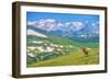 Lonely Elk Alpine Meadow-duallogic-Framed Photographic Print