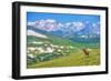 Lonely Elk Alpine Meadow-duallogic-Framed Photographic Print