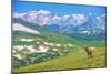 Lonely Elk Alpine Meadow-duallogic-Mounted Photographic Print