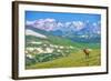 Lonely Elk Alpine Meadow-duallogic-Framed Photographic Print